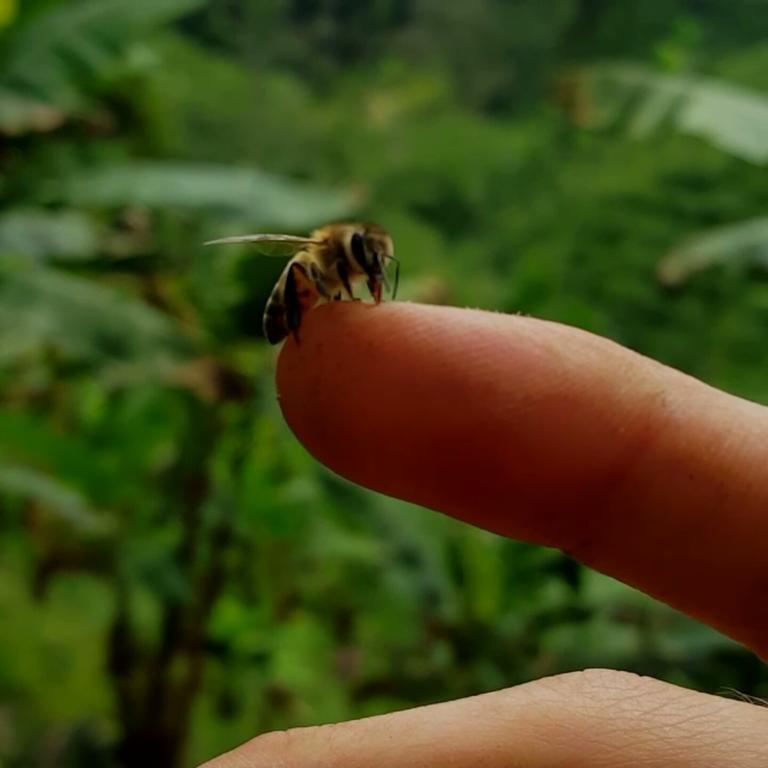 Calarcá Finca El Diamante 빌라 외부 사진