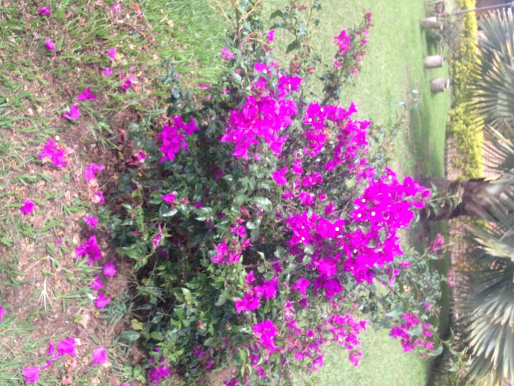 Calarcá Finca El Diamante 빌라 외부 사진