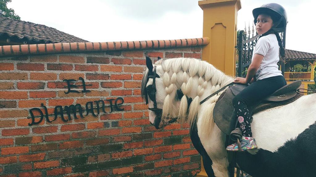 Calarcá Finca El Diamante 빌라 외부 사진