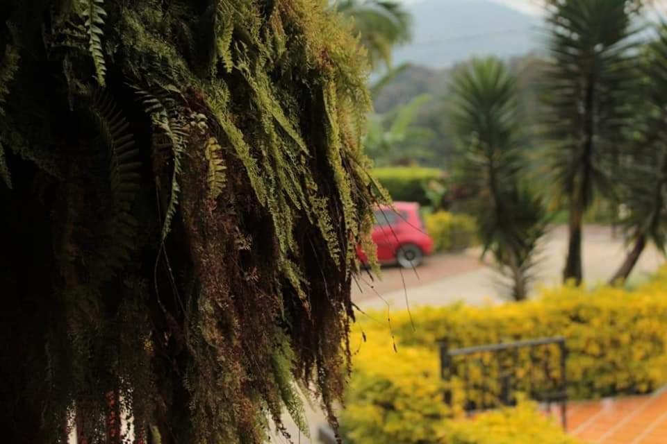 Calarcá Finca El Diamante 빌라 외부 사진