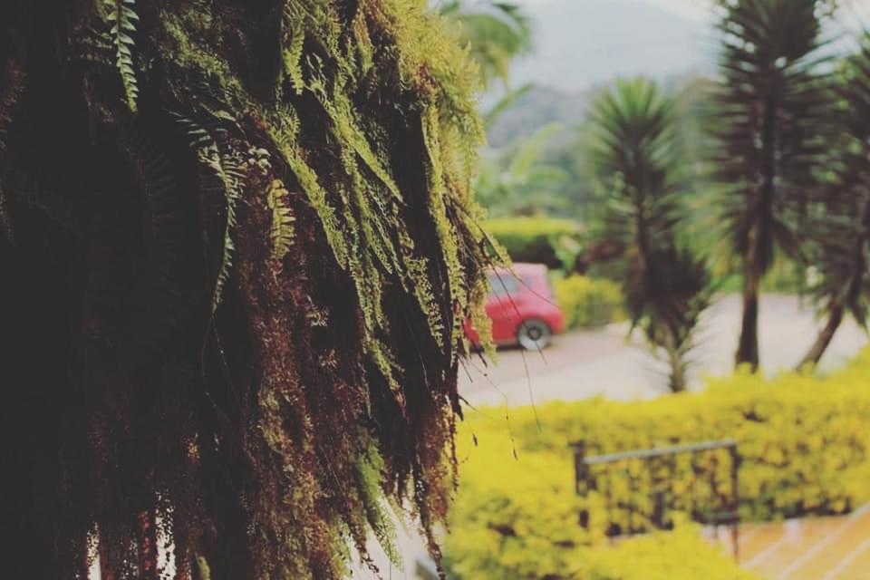 Calarcá Finca El Diamante 빌라 외부 사진